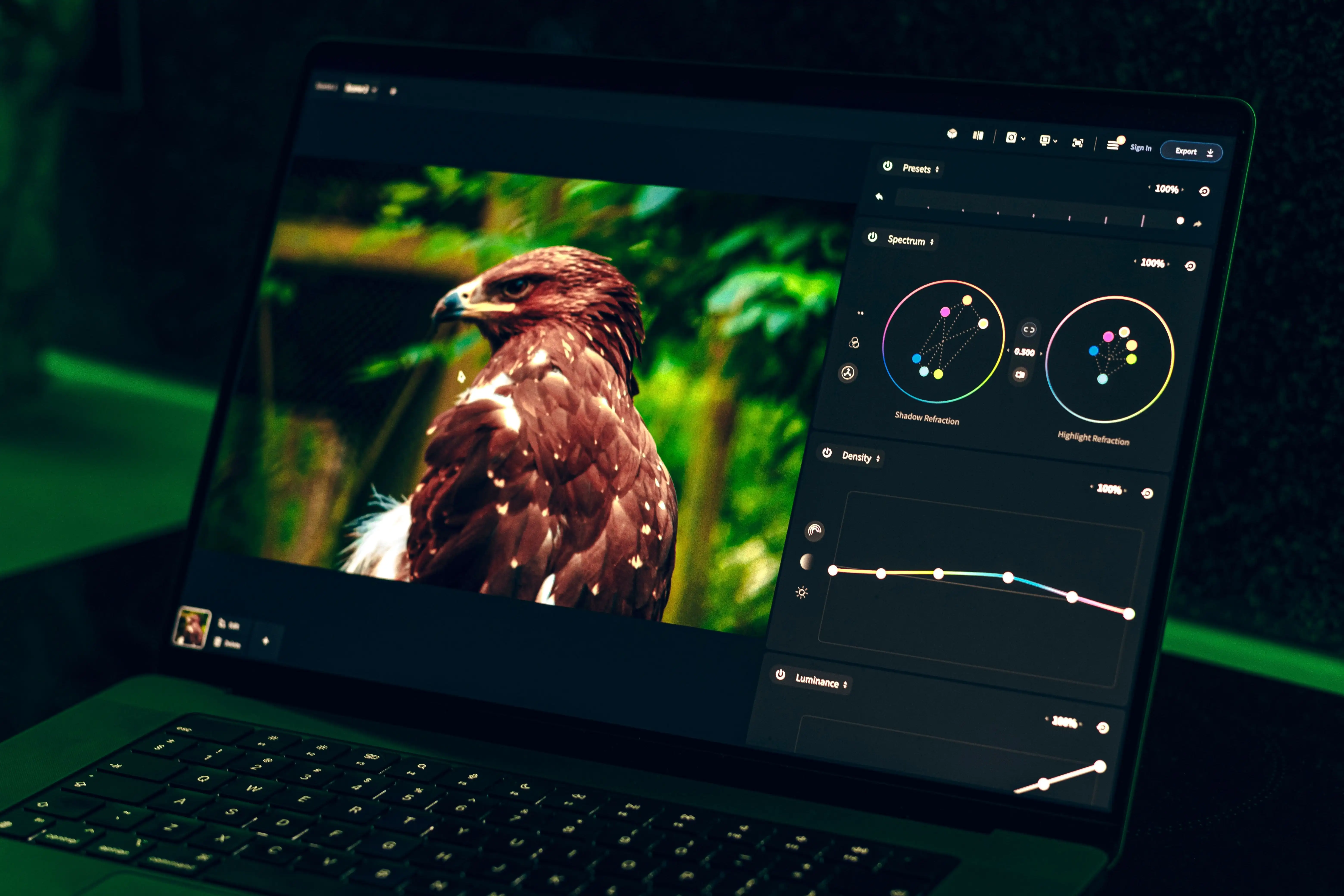 Design Ecosystem Mastery: Branding, UI/UX, Photoshop